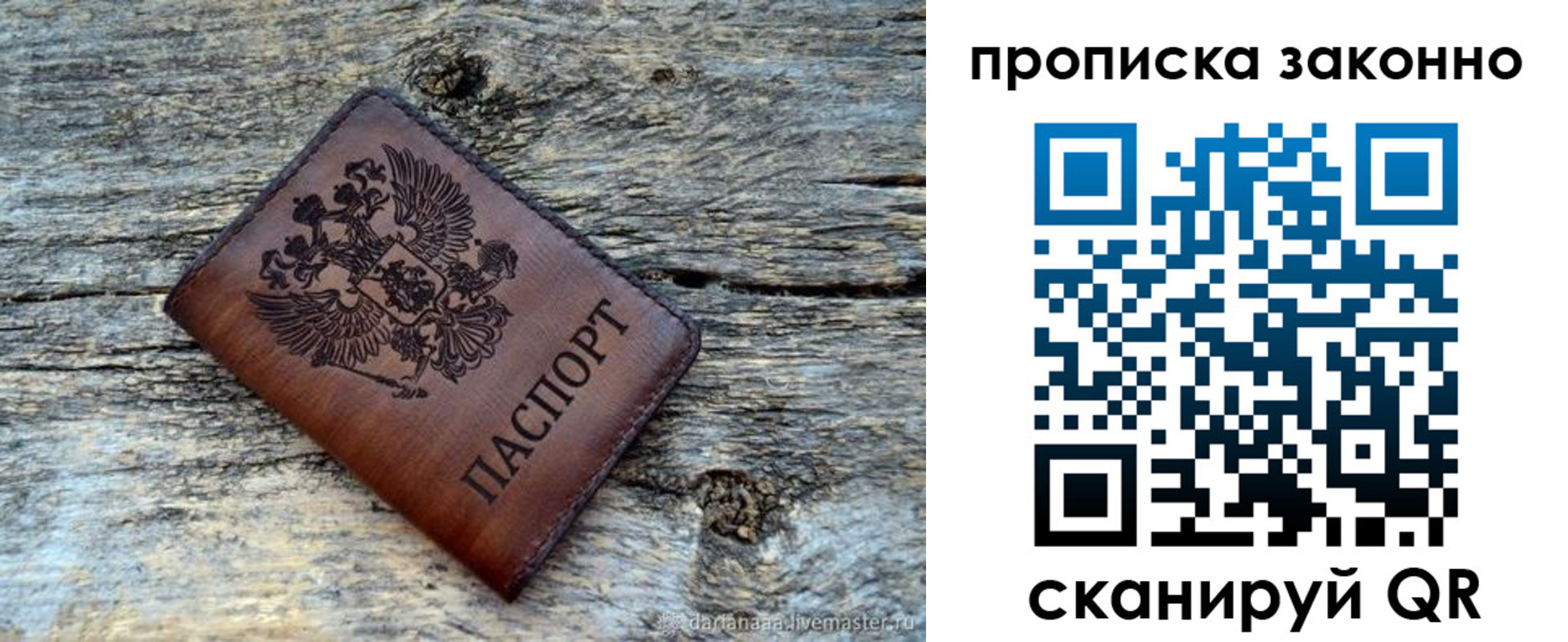 прописка для школы в Каргополе